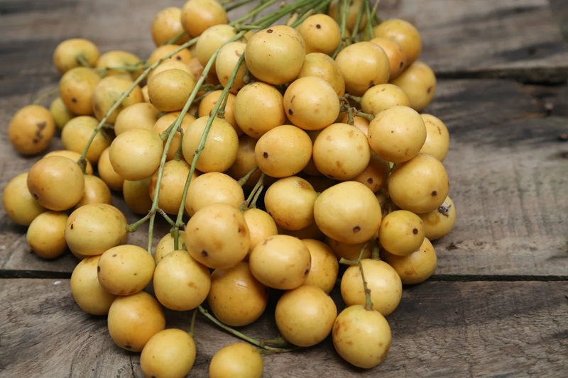 Dâu da là loại trái cây đặc sản An Giang hấp dẫn với vị chua thanh.