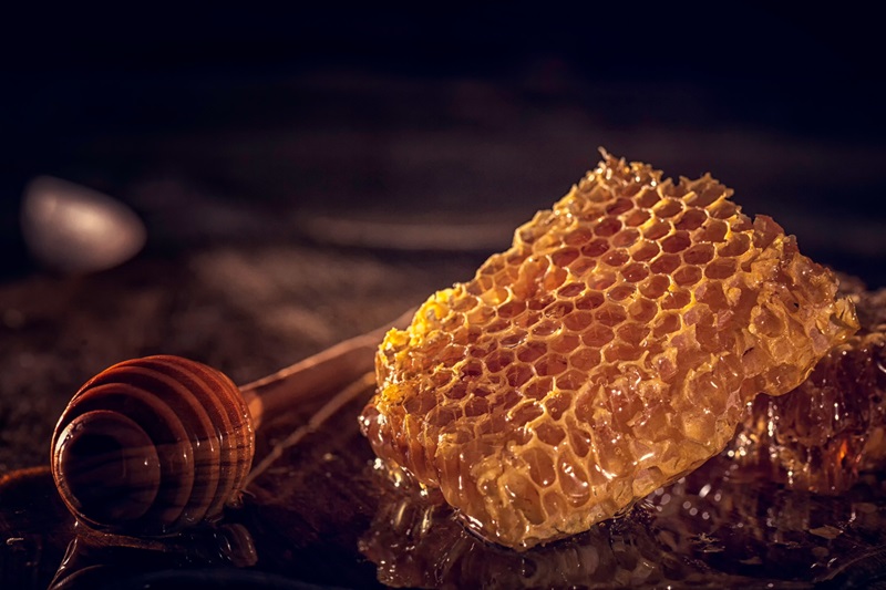 Mật ong rừng là món đặc sản Gia Lai làm quà rất giá trị.