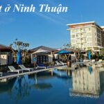 Các resort ở Ninh Thuận, resort 5 sao ở Ninh Thuận giá rẻ.
