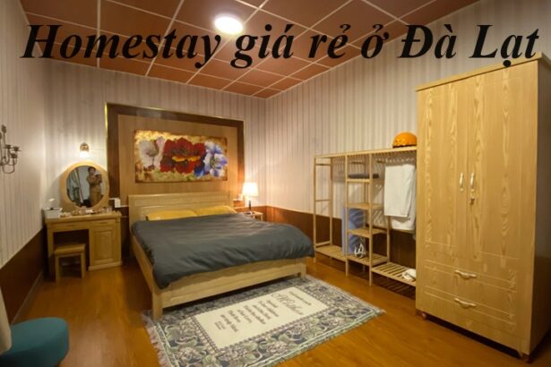 Top homestay giá rẻ Đà Lạt dành cho cặp đôi, tiện nghi đầy đủ.