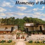 Địa chỉ homestay Bắc Hà giá rẻ, homestay ở Bắc Hà phòng đẹp.