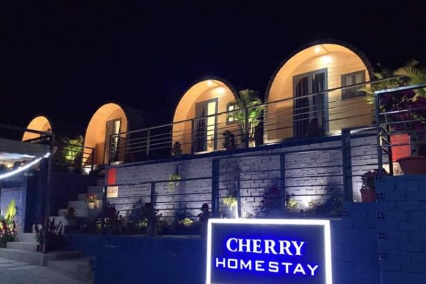 Review Cherry Homestay Vũng Tàu có bao nhiêu phòng?