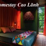 Địa chỉ homestay Cao Lãnh Đồng Tháp giá rẻ không nên bỏ qua.